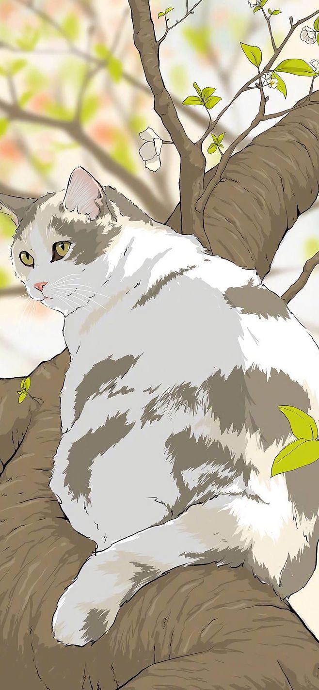 梦里猫落
